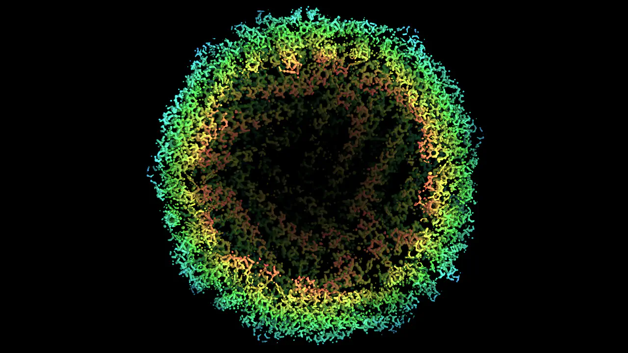 3D protein visualization tools