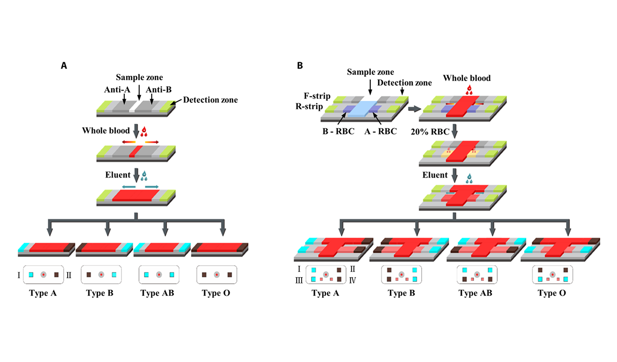 Aglutinación en papel asistido por colorante