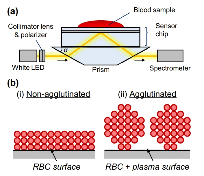 Principio de funcionamiento de sensor basado en guía de ondas